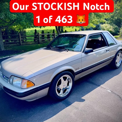 1 of 463 in this Colour 🦊 1990 Foxbody Mustang Notchback 🏁 #fordmustang #foxbody #mustang #ford #car