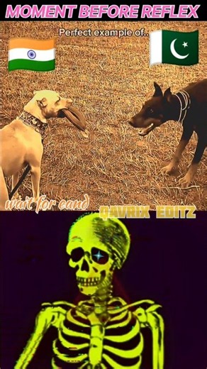 India vs Pakistan Dog Reflex Edit 🐕 | Moment Before Reflex Meme #shorts
