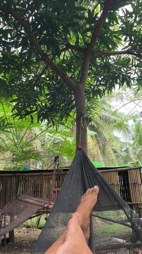 Kalmadong paligid#dailyroutine #gafferlife #pitmaster #derby #gaffer