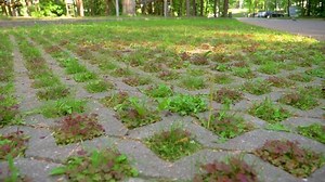 Eco parking for cars with grass
