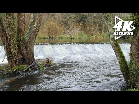 Waterfall Sounds and Relaxing Piano Music | 1 HOUR | Relaxation for Sleep, Study, Stress Relief