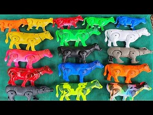 MENEMUKAN BANYAK SAPI WARNA-WARNI || Menemukan Sapi, Sapi Lucu, Sapi Berwarna,Sapi Kartun,Sapi Joget