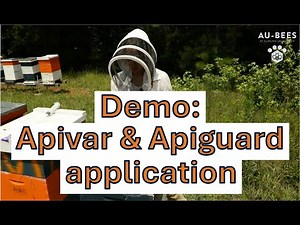 Demo 7: Summer application of Apivar and Apiguard