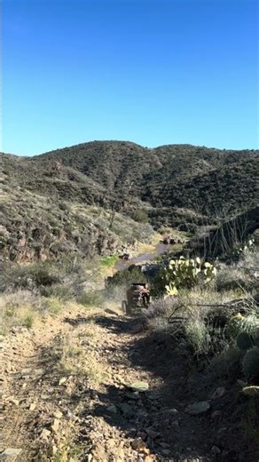 "Crazy Downhill Ride!"