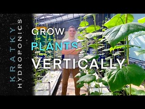 Vertical Hydroponics Systems: Growing From The Ground Up