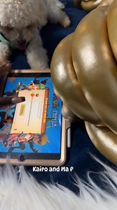 My tablet loosing touch sensitivity and this game got too many buttons to press lol Check out Kairo Christmas Gift List I just created. https://www.amazon.com/registries/gl/guest-view/R12B0WZYJ3JF?ref_=cm_sw_r_apin_ggr-subnav-share_JCJQZBVZEH8ZBB7JMZJ1&language=en-US #kairothemaltipoo #kairo #kairoandmap #fypシ #fyp #furbaby #JollyDog #MysQue #funnydogs #maltipoo #fruitninja | TaQueisha MysQue Johnson