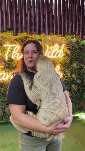 Exploring Sloths at Fame Park in Dubai