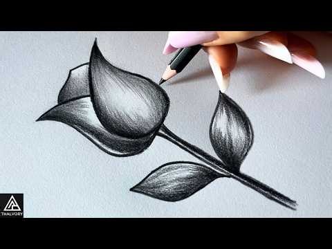 How to Draw a Rose EASY in 5 Minutes 🌹 | Step by Step Pencil Drawing Tutorial