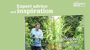 1.1K views · 23 reactions | Don’t forget to add our September issue to your shopping list! Inside Alan helps you understand your soil to help you get the most from your plot, a step-by-step guide on how to build your own terrarium and discover what to prune now for better blooms next year. In shops now or buy online https://bit.ly/GWSep21FB | BBC Gardeners' World Magazine | Facebook