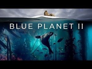 Blue Planet II - Trailer (Rescore)