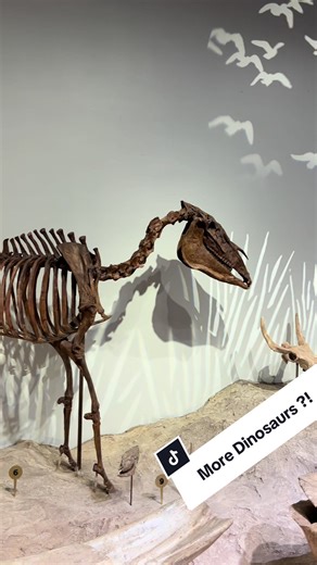 Discovering Texas' Historic Dinosaurs and Prehistoric Horses