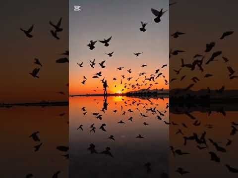 How to Find Peace Through Jesus: 10 Biblical Practices