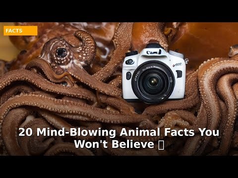 20 Mind-Blowing Animal Facts You Won't Believe 🐰