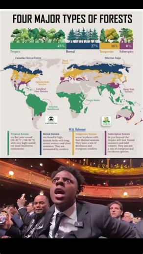FOUR MAJOR TYPES OF FOREST.