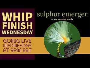 How To Fly Tying: CDC Sulphur Emerger (or any emerging mayfly)--Live on Whip Finish Wednesday