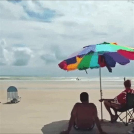 Launched in 1979, Gecko Hawaii is back -- with nostalgic & limited edition 1980s & 90s retro & re-issued apparel. | Gecko Hawaii | Facebook