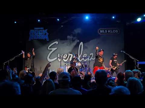Everclear - Wonderful (live)