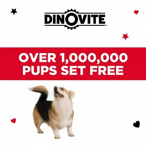 26 reactions · 6 comments | Try Dinovite for FREE! Better gut health, a stronger immune system, and a happier dog – all in one easy-to-use daily supplement! Get your FREE starter pack now, just pay shipping and handling  | Dinovite.com | Facebook