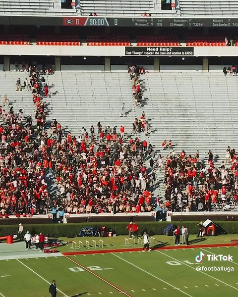 Georgia Football Pregame: Get Ready for Game Day