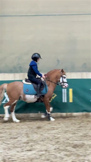 #elevagekerveyer #kingofprynn#anpfs#equitation #devoucoux@Horse Pilot @I-BRIDE @Seaverhorse @SellerieEquiJump @PHILICOT @Mila Cuccureddu @FF Équitation officiel @CreditMutuel