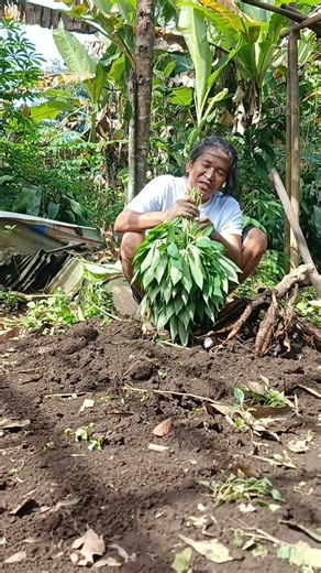 Farming is good @Dirosgondrong