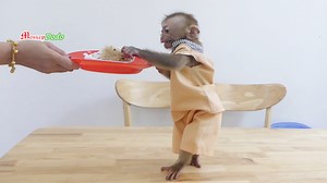 4K views · 219 reactions | Wow Biden Very Fast Walking To Ask Mom To Eat Sticky Rice Cake | Monkey Dodo | Facebook