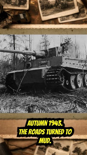 Tiger in a Swamp: When Armor Meets Mud #history #historyfacts #facts