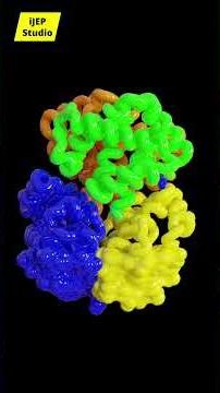 Protein Structure Representations