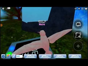 How To Find The Code To The Fossil Lab In Feather Family