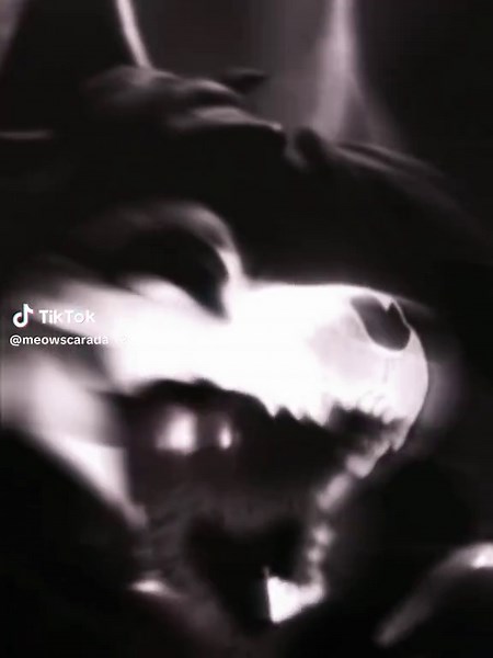 Explorando SCP 4711 y su Impacto en la Cultura Furry