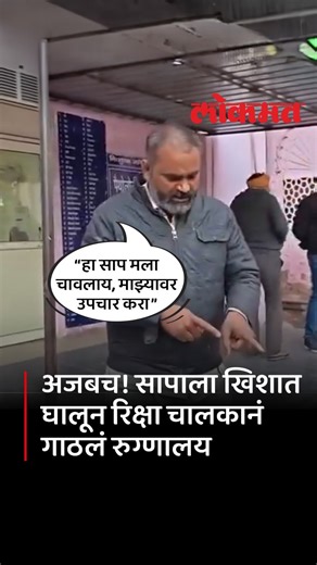 Lokmat on Instagram: "अनेकदा साप चावल्यावर लोक घाबरून जातात, पण मथुरेतील एका ई-रिक्षा चालकाने जे केले ते पाहून डॉक्टरही थक्क झाले. दीपक नावाच्या या चालकाला सापाने चावा घेतला, मात्र घाबरण्याऐवजी त्याने त्या जिवंत सापाला पकडून थेट आपल्या खिशात घातले आणि उपचारांसाठी जिल्हा रुग्णालय गाठले. सापाला पाहून रुग्णालयात एकच पळापळ आणि घबराट निर्माण झाली. सोमवारी दीपक या ई-रिक्षा चालकाला एका सापाने दंश केला. विषारी सापाची ओळख पटवण्यासाठी आणि डॉक्टरांना उपचारांत मदत व्हावी, या उद्देशाने दीपकने त्या सापाला जिव