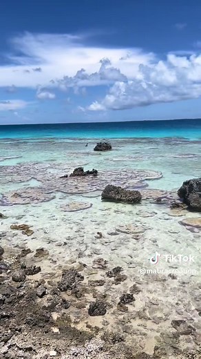 Wonderful Polynesia #borabora #islandlife #fenua #traveling #tahiti #enjoylife