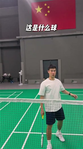 十五種羽毛球常見技術，學會讓你告別新手 #新手打球必看 #羽毛球教學 #羽毛球技術動作 #單打