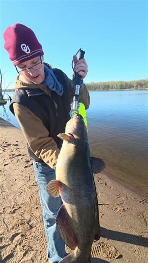 Monster Mississippi River Channel Catfish!