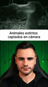 Animales extintos captados en cámara 😨#increible #curioso #curiosidades #misterio #interesante #alonsovisual | Alonso Visual
