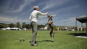 Pit bull has her own bag of tricks