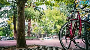 The University of Western Australia Based in Perth, the University...