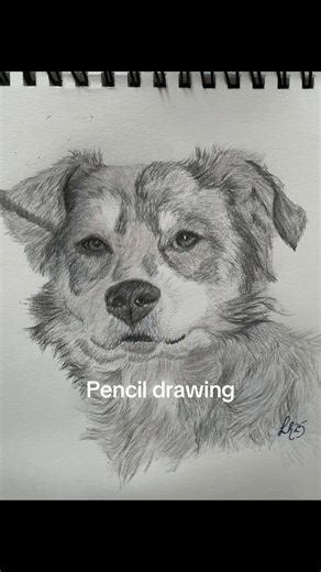 #animalportraits #colouredpencil #dog #drawing #artwork