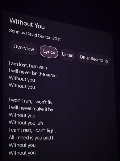 David Guetta - Without You Lyrics Explained