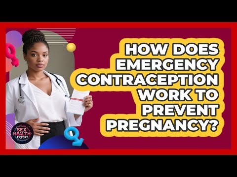 How Does Emergency Contraception Work To Prevent Pregnancy?