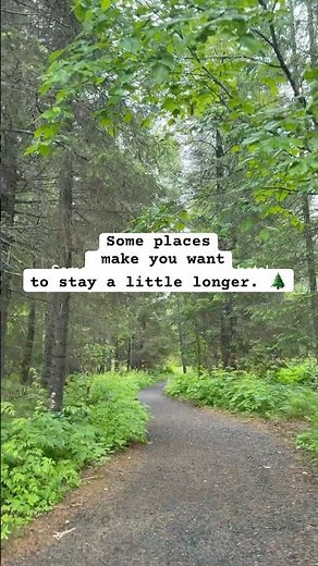 I Didn’t Expect This in Seward, Alaska 🌲 | Windsong Lodge