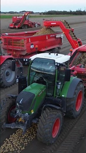 Fendt 314 😎 #tractor #farming #harvest #grimme #traktor #agro ‪@RubenvanderSteeg‬