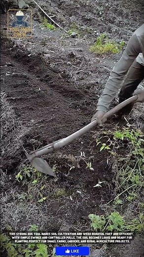 Strong & Efficient Hoe Tools for Soil Cultivation and Weed Removal in Small Farm Fields