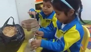 Baby Genius School on Reels