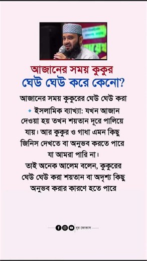 Why do dogs bark during the Adhan? #hadisbangla #foryou #quotes #islamicreminder #muslimcontent