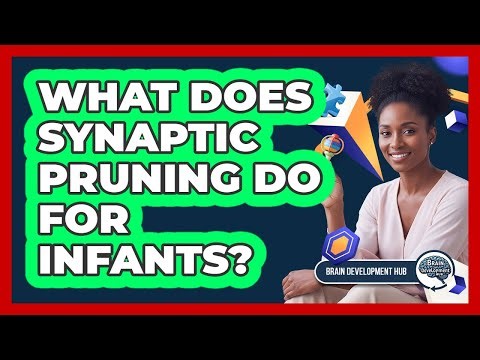 What Does Synaptic Pruning Do For Infants?