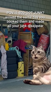 You won’t believe how quickly we can make your junk disappear. ✨ Book now 👉 https://bit.ly/4fPP4Ap | 1-800-GOT-JUNK?