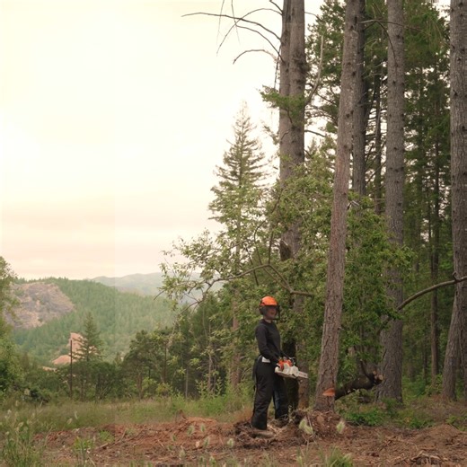 You can't bring your A game without the right PPE. Stop by River Valley Tractor - Hot Springs to gear up and find everything you need to tackle fall outdoor work. | River Valley Tractor