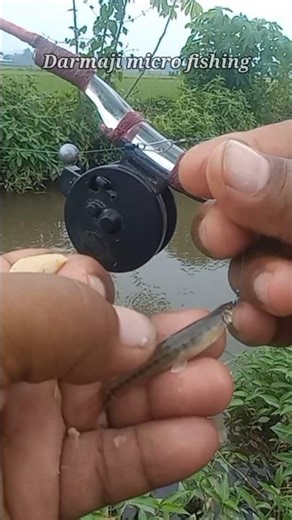 Mancing Uceng Umpan Go Potato Kail Neo Carbon 0,5 Warna Biru 125