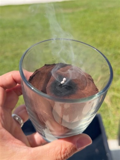 Light a match in coffee grounds and watch the magic 😱 #coffee #lifehacks #plants